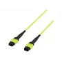 EFB Elektronik MTPF12MTPFOM5-2 2m OM5 MTP to MTP καλώδιο οπτικής ίνας