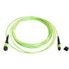 EFB Elektronik MTPF12MTPFOM5-2 2m OM5 MTP to MTP καλώδιο οπτικής ίνας