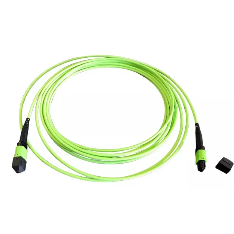 EFB Elektronik MTPF12MTPFOM5-2 2m OM5 MTP to MTP καλώδιο οπτικής ίνας
