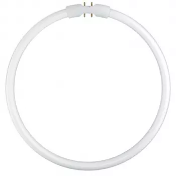 Osram κυκλικός λαμπτήρας φθορισμού T5 FC22W 840 2GX13