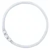 OSRAM LUMILUX T5 FC κυκλικός λαμπτήρας φθορισμού 55W 865 φως ημέρας 2GX13