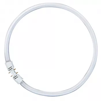 OSRAM LUMILUX T5 FC κυκλικός λαμπτήρας φθορισμού 55W 865 φως ημέρας 2GX13
