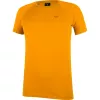 SALEWA Wild Country Session 2 T-Shirt - Nectar - μέγεθος L