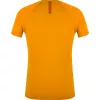 SALEWA Wild Country Session 2 T-Shirt - Nectar - μέγεθος L