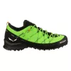 Salewa Wildfire 2 ανδρικά παπούτσια προσέγγισης GORE-TEX