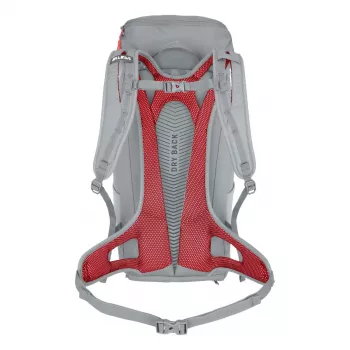 Salewa Alp Mate 30 γυναικείο σακίδιο πεζοπορίας - Alloy