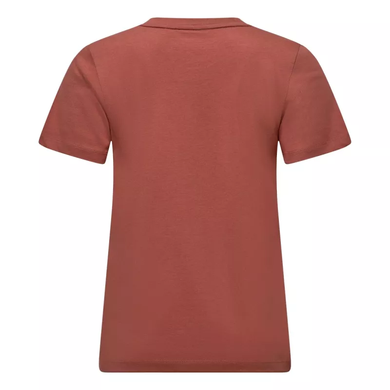 Γυναικείο μπλουζάκι Salewa Eagle - Etruscan Red XS