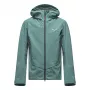 SALEWA Ortles GTX 3L Jacket ανδρικό Epe/Willow EU 48/M