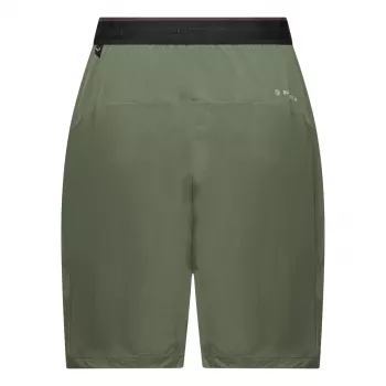 Salewa Pedroc 2 Dst Short Γυναικείο Σορτς Πεζοπορίας - Faded Green, Μέγεθος S