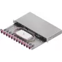 ZVK Easylan LWL Spleißgehäuse Basic 1U 12x SC-Duplex OM4 Schublade μαύρο
