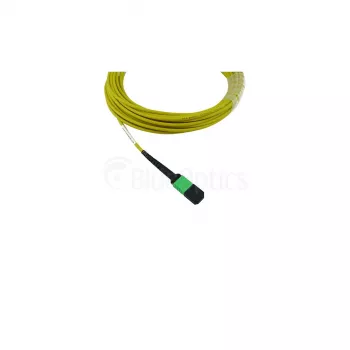 BlueOptics Cisco CB-M12-M12-SMF2M MPO-MPO Multi-Mode G.657.A1 Patch καλώδιο 2 μέτρα