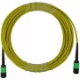 BlueOptics καλώδιο κορμού MPO μονότροπο 12 ινών 2 μέτρα Type B