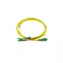 BlueOptics Duplex Καλώδιο Patch Οπτικής Ίνας E2000-APC/E2000-APC OS2 Singlemode 2m πράσινο