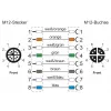 METZ CONNECT 142M2X12020 - 2 m - Cat6a - M12 - M12 - πράσινο