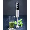 Gastronoma 18210001 ραβδομπλέντερ, 1000 W, μαύρο/ασημί