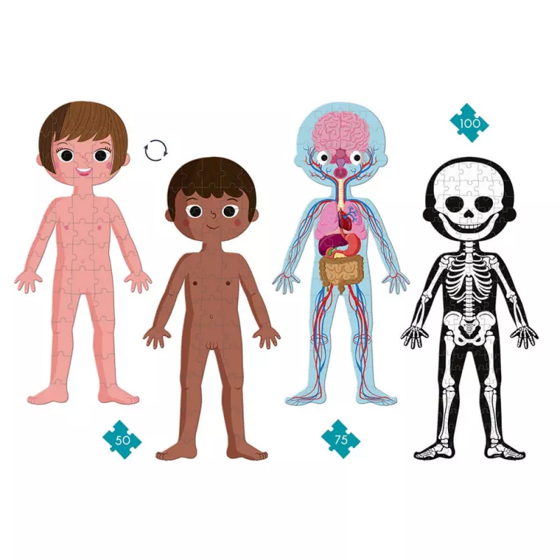 Janod Human Body Σετ Εκπαιδευτικών Παζλ 50, 75 και 100 τεμαχίων
