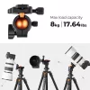 K&F Concept K234A0 + BH-28L Τρίποδο