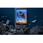 Insta360 X3 Μεμβράνη προστασίας οθόνης
