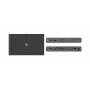 Kramer Electronics SWT3-21-HU-TR Διακόπτης/Επεκτατής 2x1 USB-C/HDMI 4K@60Hz HDBaseT 3.0