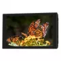 Portkeys HD7T 7 ιντσών 2200 cd/m² IPS On-Camera Monitor με 3D LUT