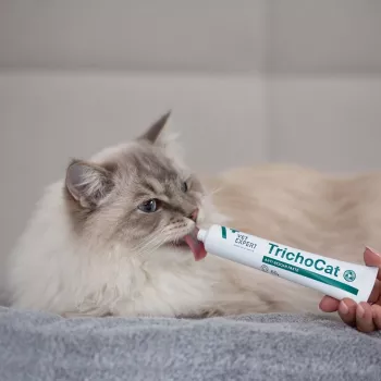 VETEXPERT TrichoCat πάστα κατά των τριχόμπαλων για γάτες 50 g