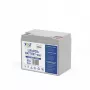 VOLT POLSKA Μπαταρία LiFePO4 12V 60Ah 60A