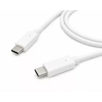 Accura Καλώδιο USB-C σε USB-C 2,0 m 100 W λευκό