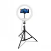 CELLY Ring Professional τρίποδο με φως - 160 cm, LED ring light 10 ιντσών, τροφοδοσία USB, μαύρο