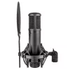 sE Electronics sE2200 Black Studio Πυκνωτικό Μικρόφωνο