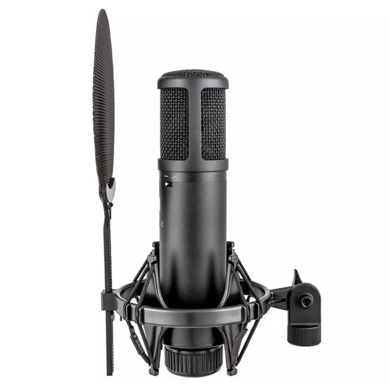 sE Electronics sE2200 Black Studio Πυκνωτικό Μικρόφωνο