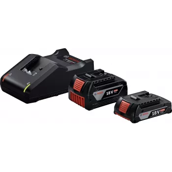 Starter-Set 18V (GBA 18V 4.0/2.0Ah + GAL 18V-40 Professional) (μαύρο, 2x Li-Ion μπαταρία, AMPShare Alliance)