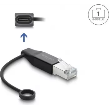 Delock προσαρμογέας δικτύου USB Type-C Gigabit LAN 1 x RJ45 αρσενικό