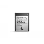 Angelbird AV PRO SE CFexpress Type B 256GB κάρτα μνήμης