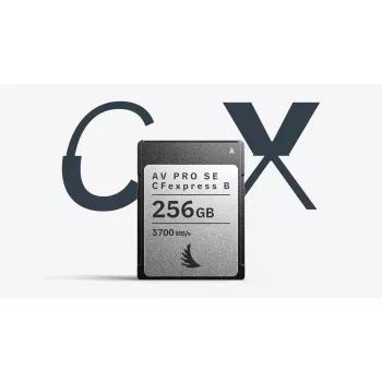 Angelbird AV PRO SE CFexpress Type B 256GB κάρτα μνήμης