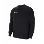 Nike Park 20 ανδρικό Fleece Pullover Hoodie μαύρο CW6902-010