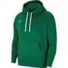 Nike Park 20 Hoodie Pine Green CW6957 302 ανδρικό Fleece Pullover