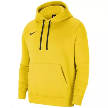 Nike Park 20 Hoodie University Gold/Μαύρο CW6957 719