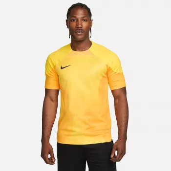Nike Dri-FIT ADV Gardien IV ανδρικό τερματοφύλακα φανέλα Opti Yellow/Μαύρο M