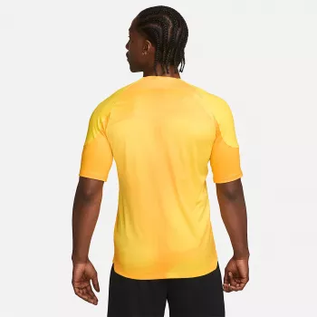 Nike Dri-FIT ADV Gardien IV ανδρικό τερματοφύλακα φανέλα Opti Yellow/Μαύρο M
