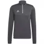 adidas Entrada 22 αθλητικό τοπ προπόνησης γκρι Vier 2XL