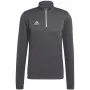 adidas Entrada 22 αθλητικό τοπ προπόνησης γκρι Four XL