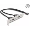 Delock Καλύπτρα υποδοχής USB 2.0 με 2 x EASY-USB Type-A θύρες