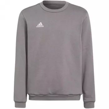 adidas Entrada 22 Sweat Top παιδικό γκρι φούτερ H57477 (116 cm)