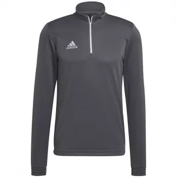adidas Entrada 22 προπονητικό μπλουζάκι γκρι Vier M