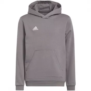 adidas Entrada 22 Hoody παιδικό φούτερ γκρι 116 cm