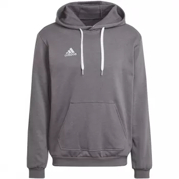adidas Entrada 22 φούτερ με κουκούλα Γκρι HB0578 M