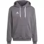 adidas Entrada 22 φούτερ με κουκούλα Γκρι HB0578 M