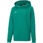 PUMA teamGOAL 23 Casuals φούτερ με κουκούλα Junior Πράσινο δάσους 128