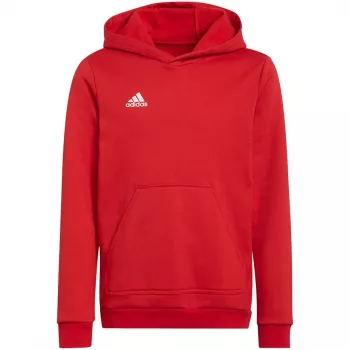 adidas Entrada 22 Hoody για παιδιά κόκκινο 164 cm