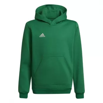 adidas Entrada 22 Μπλούζα με Κουκούλα Παιδικό Πράσινο 116cm